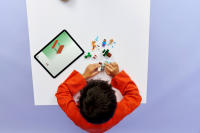 LEGO set 21583-1 Steve's Taiga Adventure - Image 6