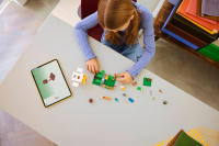 LEGO set 21585-1 Chicken Farm - Image 3