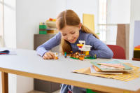 LEGO set 21585-1 Chicken Farm - Image 10