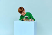 LEGO set 21586-1 The Pale Garden - Image 9