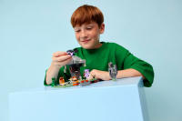 LEGO set 21586-1 The Pale Garden - Image 10