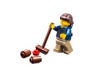 LEGO set 31038-1 Changing Seasons - Image 10