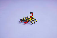LEGO set 31159-1 Wild Animals: Surprising Spider - Image 3