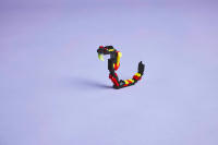 LEGO set 31159-1 Wild Animals: Surprising Spider - Image 4