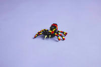 LEGO set 31159-1 Wild Animals: Surprising Spider - Image 13