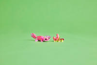 LEGO set 31170-1 Wild Animals: Pink Flamingo - Image 3