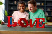 LEGO set 31214-1 LOVE - Image 6