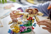LEGO set 31388-1 Wild Animals: Family of Koalas - Image 9