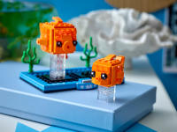 LEGO set 40442-1 Goldfish and Fry - Image 5