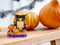 LEGO set 40497-1 Halloween Owl - Image 4