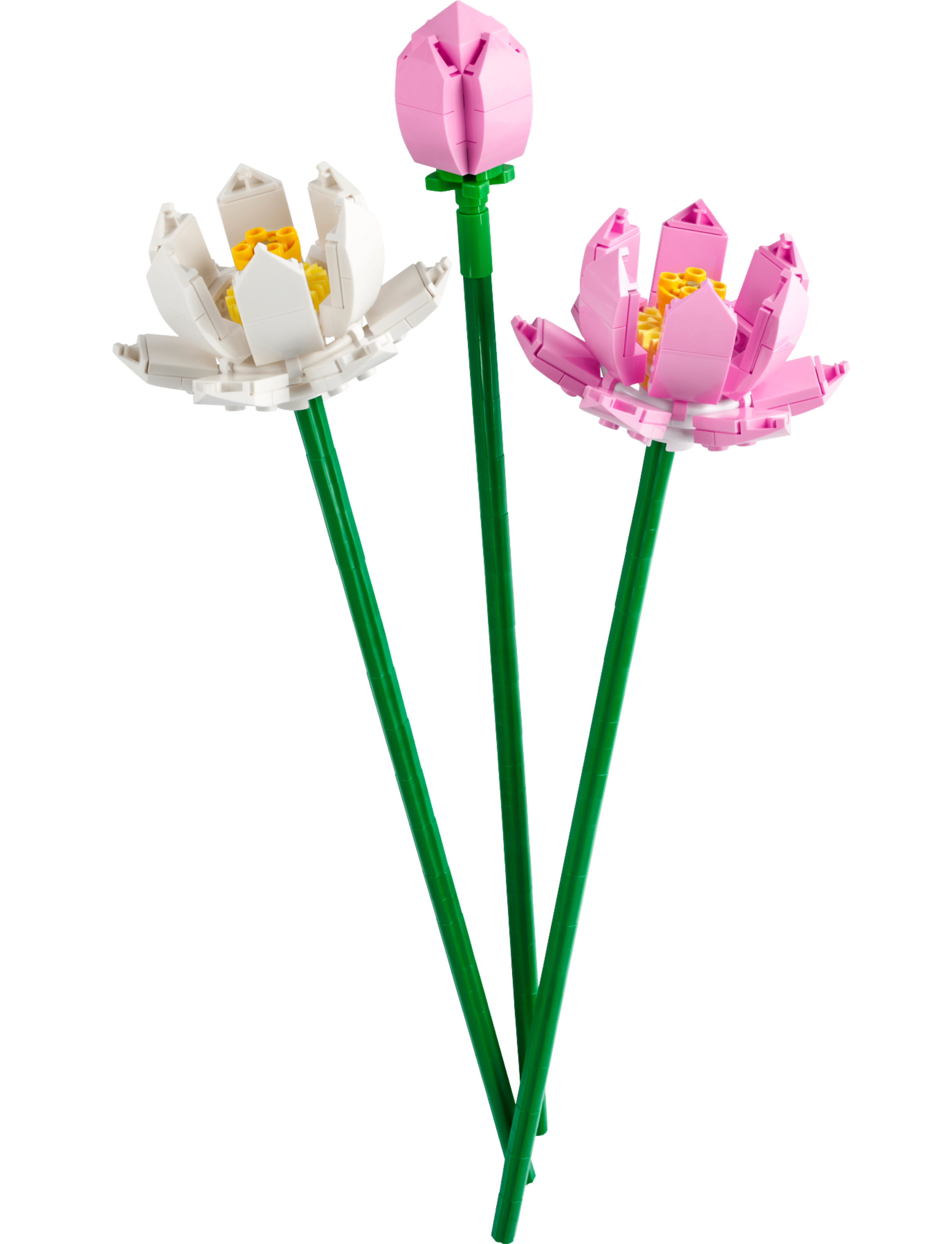 LEGO set 40647-1 Lotus Flowers - Image 1