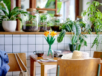 LEGO set 40747-1 Daffodils - Image 3