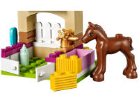 LEGO set 41089-1 Little Foal - Image 4