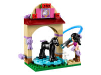 LEGO set 41123-1 Foal's Washing Station - Image 3