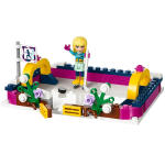 LEGO set 41322-1 Snow Resort Ice Rink - Image 3