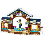 LEGO set 41322-1 Snow Resort Ice Rink - Image 4