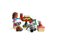 LEGO set 41343-1 Heartlake City Airplane Tour - Image 5