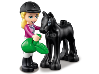 LEGO set 41441-1 Horse Training and Trailer - Image 10