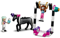 LEGO set 41686-1 Magical Acrobatics - Image 3
