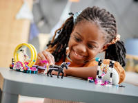 LEGO set 41686-1 Magical Acrobatics - Image 8