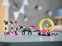 LEGO set 41686-1 Magical Acrobatics - Image 9