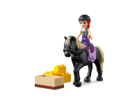 LEGO set 41721-1 Organic Farm - Image 3