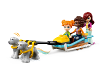LEGO set 41760-1 Igloo Holiday Adventure - Image 5