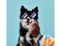 LEGO set 41801-1 My Pets Bracelet - Image 6