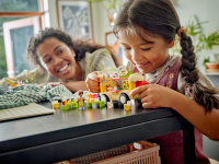 LEGO set 42633-1 Hot Dog Food Truck - Image 5