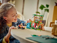 LEGO set 42648-1 Panda Sanctuary Animal Care - Image 9