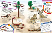 LEGO set 5006851-1 Super Nature - Image 6