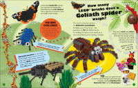 LEGO set 5007579-1 Amazing But True – Fun Facts About the LEGO World and Our Own - Image 3