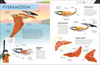 LEGO set 5007582-1 How To Build LEGO Dinosaurs - Image 4