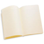 LEGO set 5007593-1 Yoda Notebook - Image 2