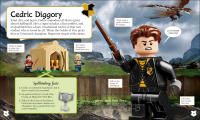LEGO set 5007615-1 Harry Potter: A Spellbinding Guide to Hogwarts Houses - Image 5