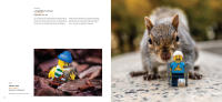 LEGO set 5007642-1 In Focus: Explore the Miniature World of LEGO Photography - Image 5
