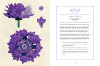 LEGO set 5008877-1 Botanical Almanac: A Field Guide to Brick-Built Blooms - Image 11