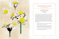 LEGO set 5008877-1 Botanical Almanac: A Field Guide to Brick-Built Blooms - Image 12