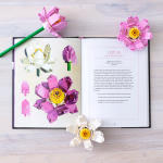 LEGO set 5008877-1 Botanical Almanac: A Field Guide to Brick-Built Blooms - Image 13