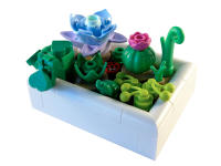 LEGO set 5010093-1 Botanicals: Tiny Desert Garden - Image 4