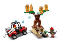 LEGO set 60217-1 Fire Plane - Image 11