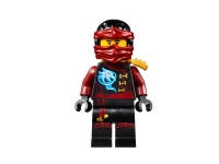 LEGO set 70604-1 Tiger Widow Island - Image 4