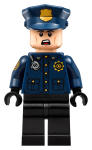 LEGO set 70912-1 Arkham Asylum - Image 8