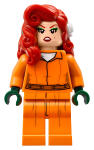LEGO set 70912-1 Arkham Asylum - Image 12