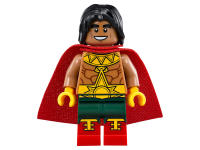 LEGO set 70919-1 The Justice League Anniversary Party - Image 5