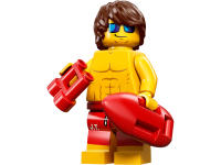 LEGO set 71007-9 Jester - Image 5