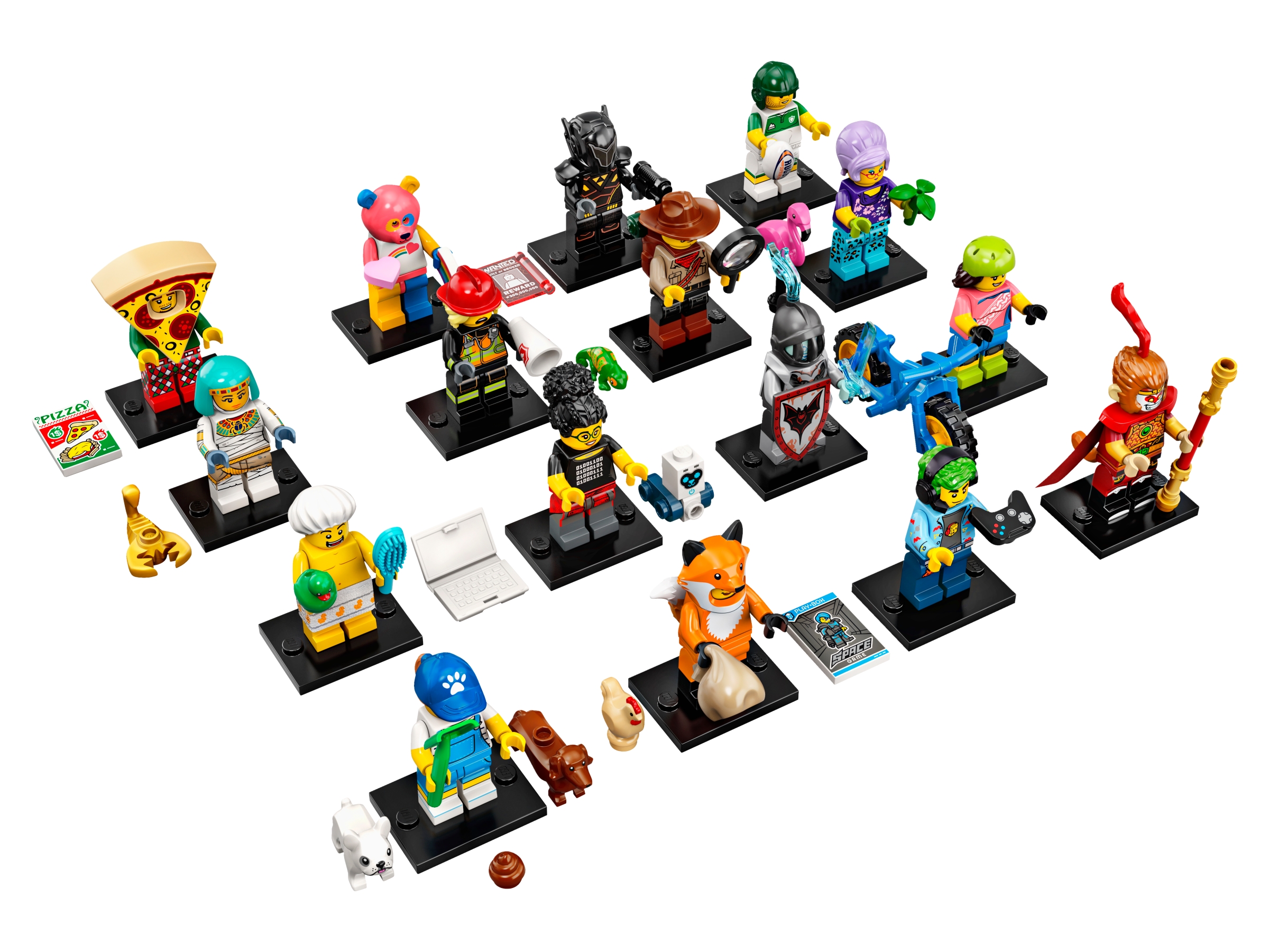 LEGO set 71025-9 Dog Sitter - Image 1