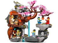 LEGO set 71819-1 Dragon Stone Shrine - Image 3