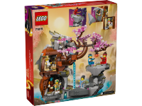LEGO set 71819-1 Dragon Stone Shrine - Image 8