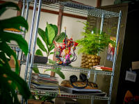 LEGO set 71846-1 The Fire Knight Mech - Image 6